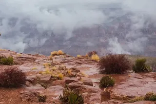 The Grand Canyon obscured by fog, the valley invisible from the rim.