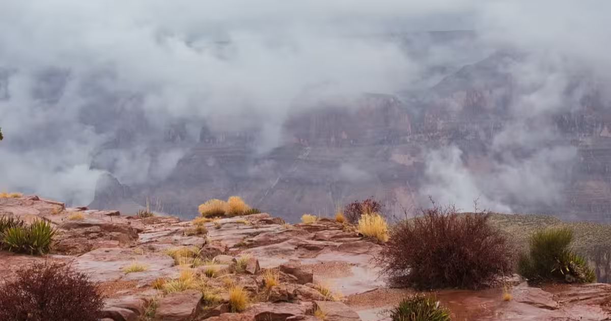 Preview image for The Demo Is Not the Product